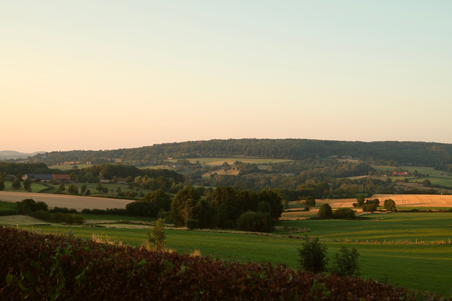 Licht en ruim uitzicht over de Zuid-Limburgse heuvels